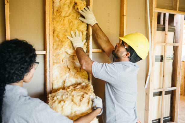 Best Wall Insulation Contractor  in Akron, IN